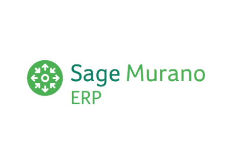Go Industry 4.0 Onion software sage murano erp